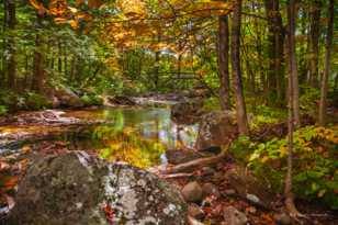 Stream in New Hampshire-1.jpg